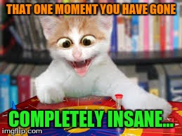 that one moment you have gone completely insane | THAT ONE MOMENT YOU HAVE GONE COMPLETELY INSANE... | image tagged in funny,funny memes,funny cats,cats,memes,comedy | made w/ Imgflip meme maker