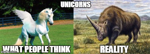 UNICORNS REALITY WHAT PEOPLE THINK | image tagged in unicorns in real life | made w/ Imgflip meme maker