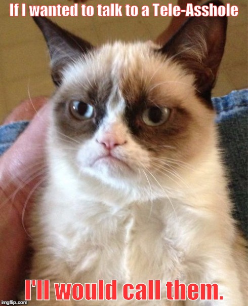 Grumpy Cat Meme | If I wanted to talk to a Tele-Asshole I'll would call them. | image tagged in memes,grumpy cat | made w/ Imgflip meme maker