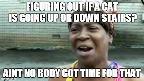 Ain't Nobody Got Time For That | FIGURING OUT IF A CAT IS GOING UP OR DOWN STAIRS? AINT NO BODY GOT TIME FOR THAT | image tagged in memes,aint nobody got time for that | made w/ Imgflip meme maker