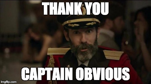 THANK YOU CAPTAIN OBVIOUS | image tagged in captain obvious | made w/ Imgflip meme maker