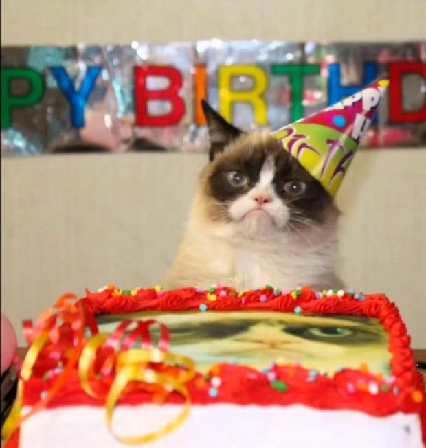 grumpy cat birthday  Blank Meme Template
