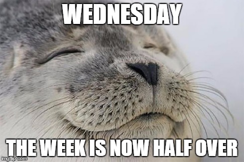 Satisfied Seal | WEDNESDAY THE WEEK IS NOW HALF OVER | image tagged in memes,satisfied seal | made w/ Imgflip meme maker