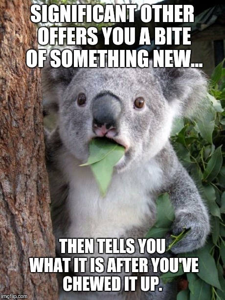 Kiss the cook, but make sure you know what's going in your mouth.  | SIGNIFICANT OTHER OFFERS YOU A BITE OF SOMETHING NEW... THEN TELLS YOU WHAT IT IS AFTER YOU'VE CHEWED IT UP. | image tagged in memes,surprised koala | made w/ Imgflip meme maker
