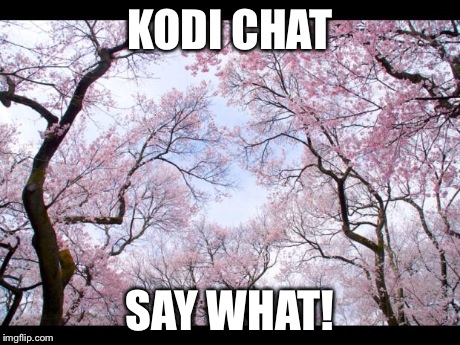 KODI CHAT SAY WHAT! | image tagged in kodi chat | made w/ Imgflip meme maker