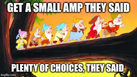 7 dwarfs | GET A SMALL AMP THEY SAID PLENTY OF CHOICES, THEY SAID | image tagged in 7 dwarfs | made w/ Imgflip meme maker