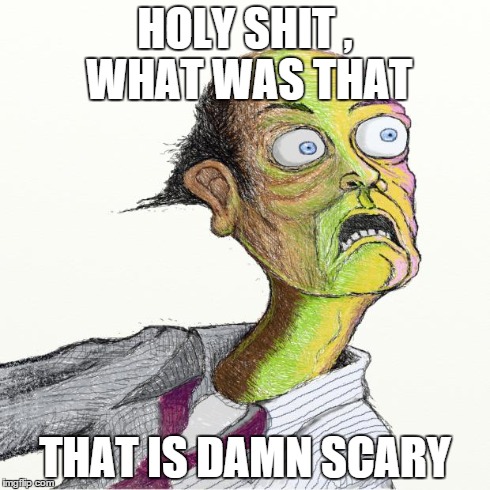 HOLY SHIT , WHAT WAS THAT THAT IS DAMN SCARY | image tagged in what the fuck | made w/ Imgflip meme maker