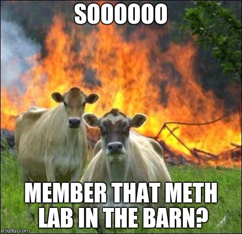 Evil Cows Meme | SOOOOOO MEMBER THAT METH LAB IN THE BARN? | image tagged in memes,evil cows | made w/ Imgflip meme maker