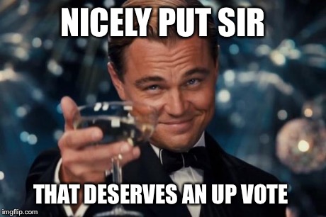 Leonardo Dicaprio Cheers Meme | NICELY PUT SIR THAT DESERVES AN UP VOTE | image tagged in memes,leonardo dicaprio cheers | made w/ Imgflip meme maker