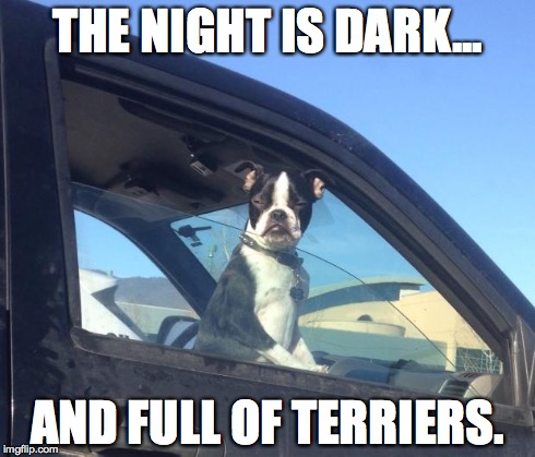 Boston Terrier | THE NIGHT IS DARK... AND FULL OF TERRIERS. | image tagged in boston terrier,got,game of thrones | made w/ Imgflip meme maker