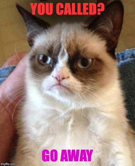 Grumpy Cat Meme | YOU CALLED? GO AWAY | image tagged in memes,grumpy cat | made w/ Imgflip meme maker