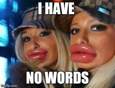 Duck Face Chicks | I HAVE NO WORDS | image tagged in memes,duck face chicks | made w/ Imgflip meme maker