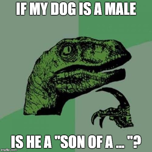 Philosoraptor | IF MY DOG IS A MALE IS HE A "SON OF A ... "? | image tagged in memes,philosoraptor | made w/ Imgflip meme maker