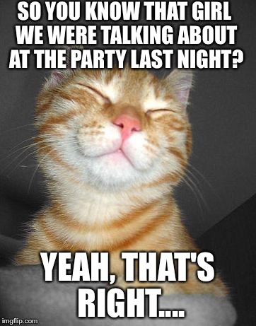 Smug Cat | SO YOU KNOW THAT GIRL WE WERE TALKING ABOUT AT THE PARTY LAST NIGHT? YEAH, THAT'S RIGHT.... | image tagged in smug cat | made w/ Imgflip meme maker
