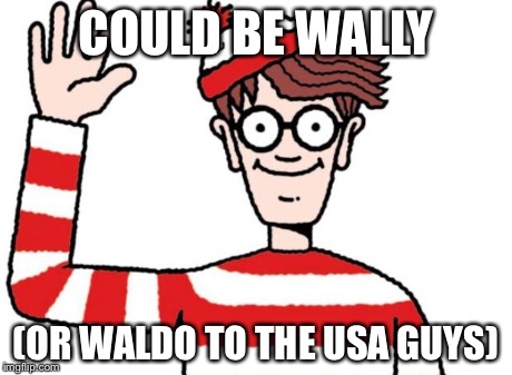 Wally waldo | COULD BE WALLY (OR WALDO TO THE USA GUYS) | image tagged in wally waldo | made w/ Imgflip meme maker