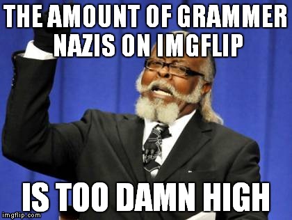 Too Damn High Meme | THE AMOUNT OF GRAMMER NAZIS ON IMGFLIP IS TOO DAMN HIGH | image tagged in memes,too damn high | made w/ Imgflip meme maker