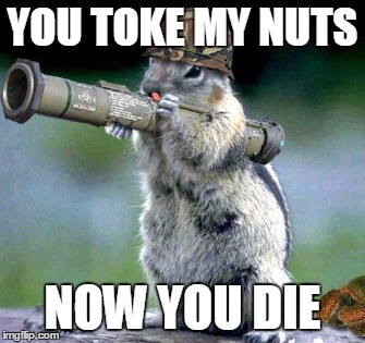 Bazooka Squirrel Meme | YOU TOKE MY NUTS NOW YOU DIE | image tagged in memes,bazooka squirrel | made w/ Imgflip meme maker