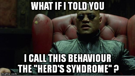 Morpheus sitting down | WHAT IF I TOLD YOU I CALL THIS BEHAVIOUR THE "HERD'S SYNDROME" ? | image tagged in morpheus sitting down | made w/ Imgflip meme maker