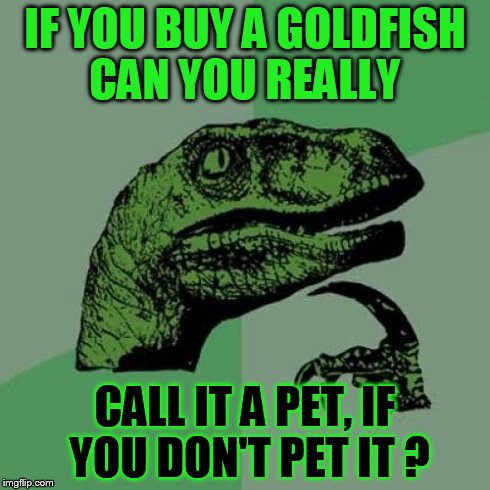 Philosoraptor | IF YOU BUY A GOLDFISH CAN YOU REALLY CALL IT A PET, IF YOU DON'T PET IT ? | image tagged in memes,philosoraptor | made w/ Imgflip meme maker