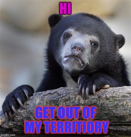 Confession Bear | HI GET OUT OF MY TERRITIORY | image tagged in memes,confession bear | made w/ Imgflip meme maker