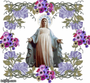 image tagged in gifs | made w/ Imgflip images-to-gif maker