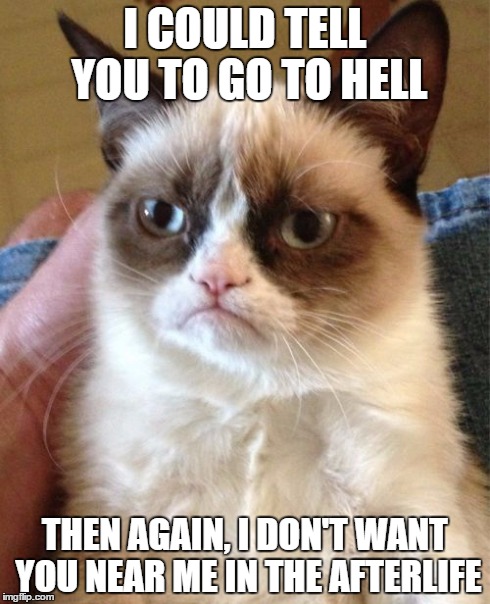 Grumpy Cat | I COULD TELL YOU TO GO TO HELL THEN AGAIN, I DON'T WANT YOU NEAR ME IN THE AFTERLIFE | image tagged in memes,grumpy cat | made w/ Imgflip meme maker