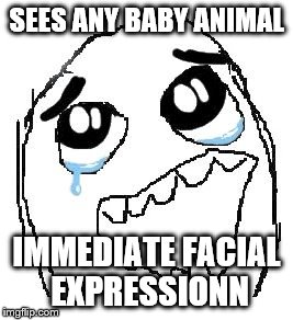 Happy Guy Rage Face | SEES ANY BABY ANIMAL IMMEDIATE FACIAL EXPRESSIONN | image tagged in memes,happy guy rage face | made w/ Imgflip meme maker