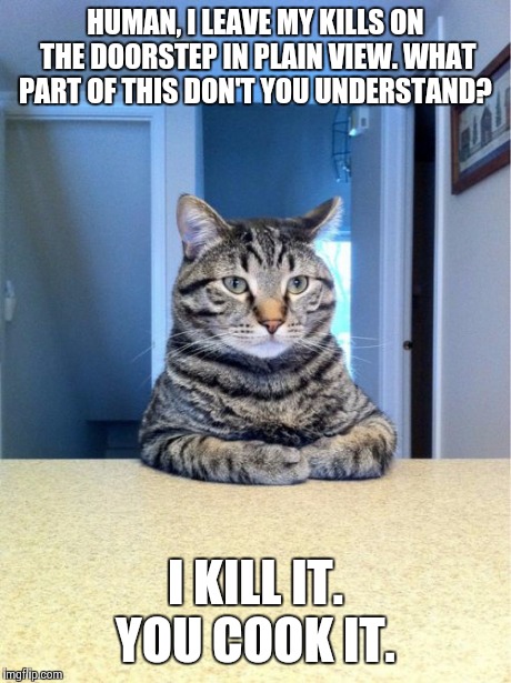 Too many byproducts in canned food. ;-) | HUMAN, I LEAVE MY KILLS ON THE DOORSTEP IN PLAIN VIEW. WHAT PART OF THIS DON'T YOU UNDERSTAND? I KILL IT. YOU COOK IT. | image tagged in memes,take a seat cat | made w/ Imgflip meme maker