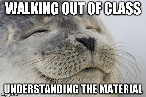 Satisfied Seal | WALKING OUT OF CLASS UNDERSTANDING THE MATERIAL | image tagged in memes,satisfied seal | made w/ Imgflip meme maker