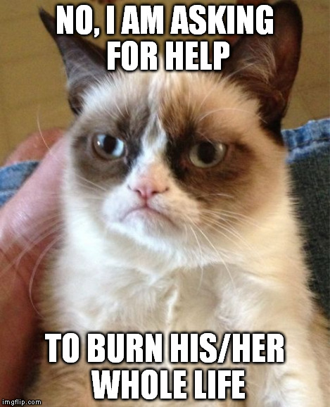 Grumpy Cat Meme | NO, I AM ASKING FOR HELP TO BURN HIS/HER WHOLE LIFE | image tagged in memes,grumpy cat | made w/ Imgflip meme maker
