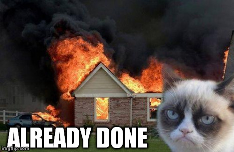 Burn Kitty | ALREADY DONE | image tagged in burn kitty | made w/ Imgflip meme maker