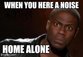 Kevin Hart | WHEN YOU HERE A NOISE HOME ALONE | image tagged in memes,kevin hart the hell | made w/ Imgflip meme maker