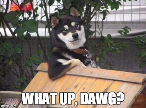 Suave Dog | WHAT UP, DAWG? | image tagged in suave dog | made w/ Imgflip meme maker