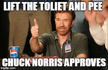 Chuck Norris approve /.\ | LIFT THE TOLIET AND PEE CHUCK NORRIS APPROVES | image tagged in memes,chuck norris approves | made w/ Imgflip meme maker