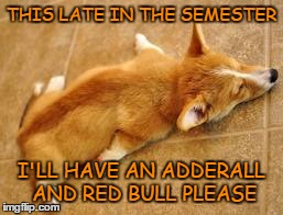 finals | THIS LATE IN THE SEMESTER I'LL HAVE AN ADDERALL AND RED BULL PLEASE | image tagged in corgi,memes,funny memes,college humor | made w/ Imgflip meme maker