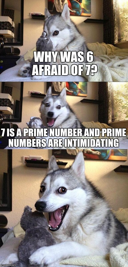 Bad Pun Dog Meme | WHY WAS 6 AFRAID OF 7? 7 IS A PRIME NUMBER AND PRIME NUMBERS ARE INTIMIDATING | image tagged in memes,bad pun dog | made w/ Imgflip meme maker