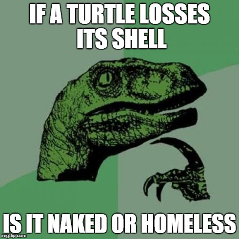 Philosoraptor Meme | IF A TURTLE LOSSES ITS SHELL IS IT NAKED OR HOMELESS | image tagged in memes,philosoraptor | made w/ Imgflip meme maker