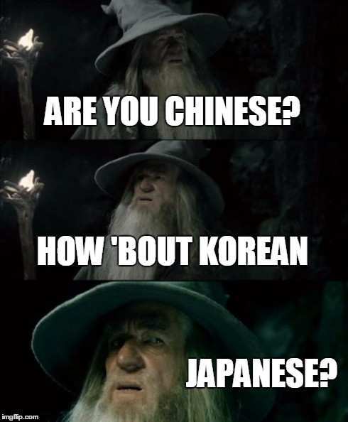 Confused Gandalf | ARE YOU CHINESE? HOW 'BOUT KOREAN JAPANESE? | image tagged in memes,confused gandalf | made w/ Imgflip meme maker