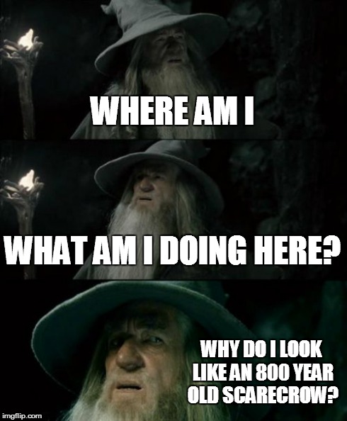 Confused Gandalf Meme | WHERE AM I WHAT AM I DOING HERE? WHY DO I LOOK LIKE AN 800 YEAR OLD SCARECROW? | image tagged in memes,confused gandalf | made w/ Imgflip meme maker