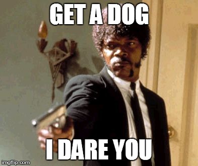 Say That Again I Dare You Meme | GET A DOG I DARE YOU | image tagged in memes,say that again i dare you | made w/ Imgflip meme maker