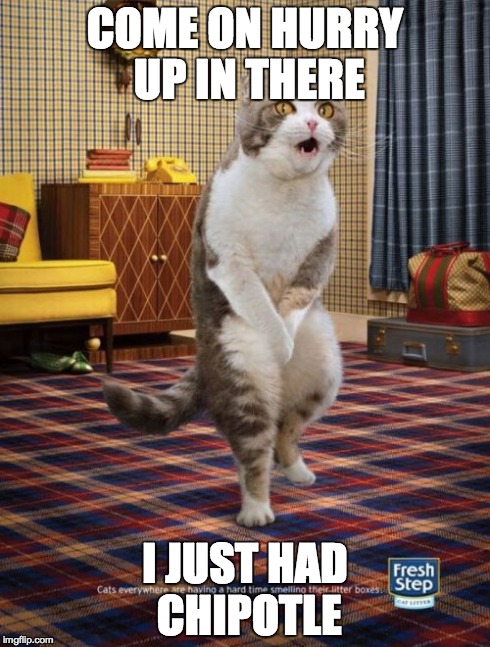 Gotta Go Cat Meme | COME ON HURRY UP IN THERE I JUST HAD CHIPOTLE | image tagged in memes,gotta go cat | made w/ Imgflip meme maker