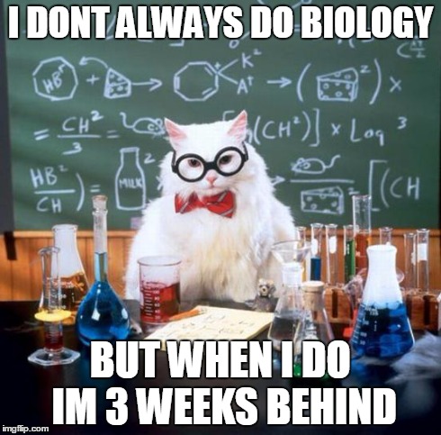 Chemistry Cat Meme | I DONT ALWAYS DO BIOLOGY BUT WHEN I DO IM 3 WEEKS BEHIND | image tagged in memes,chemistry cat | made w/ Imgflip meme maker