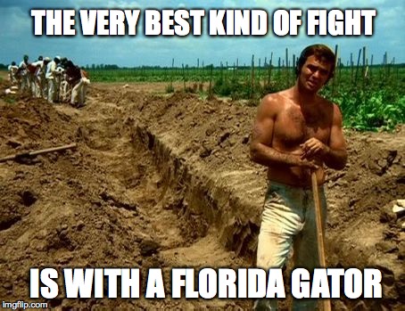 The very best kind of fight | THE VERY BEST KIND OF FIGHT IS WITH A FLORIDA GATOR | image tagged in florida,gator,mcclusky | made w/ Imgflip meme maker