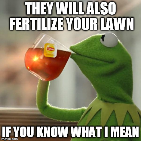 But That's None Of My Business Meme | THEY WILL ALSO FERTILIZE YOUR LAWN IF YOU KNOW WHAT I MEAN | image tagged in memes,but thats none of my business,kermit the frog | made w/ Imgflip meme maker