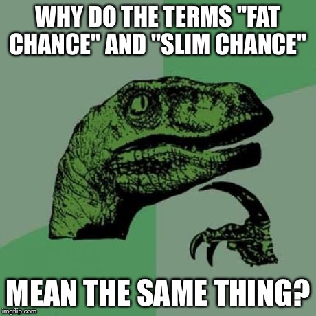 Philosoraptor | WHY DO THE TERMS "FAT CHANCE" AND "SLIM CHANCE" MEAN THE SAME THING? | image tagged in memes,philosoraptor | made w/ Imgflip meme maker