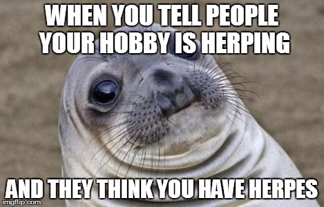 Awkward Moment Sealion | WHEN YOU TELL PEOPLE YOUR HOBBY IS HERPING AND THEY THINK YOU HAVE HERPES | image tagged in memes,awkward moment sealion | made w/ Imgflip meme maker