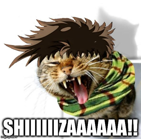 SHIIIIIIZAAAAA!! | SHIIIIIIZAAAAAA!! | image tagged in jojo cat,joseph joestar,cat,memes,jojo's bizarre adventure | made w/ Imgflip meme maker