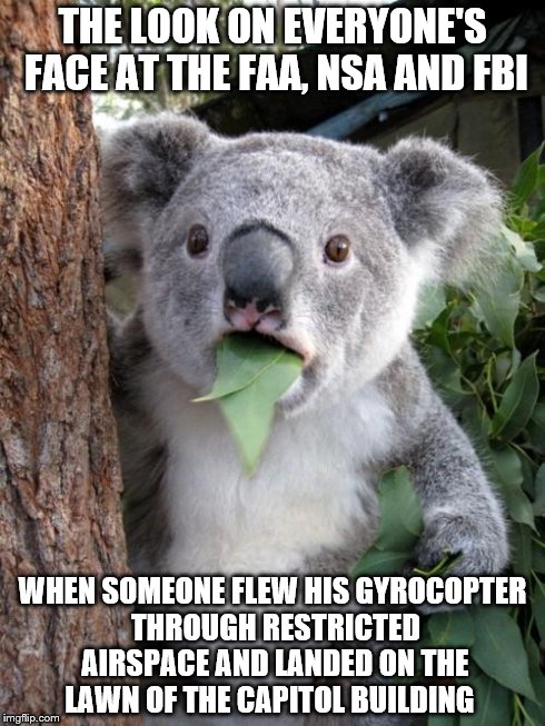 Brings new meaning to the term "going postal" | THE LOOK ON EVERYONE'S FACE AT THE FAA, NSA AND FBI WHEN SOMEONE FLEW HIS GYROCOPTER THROUGH RESTRICTED AIRSPACE AND LANDED ON THE LAWN OF T | image tagged in memes,surprised koala | made w/ Imgflip meme maker