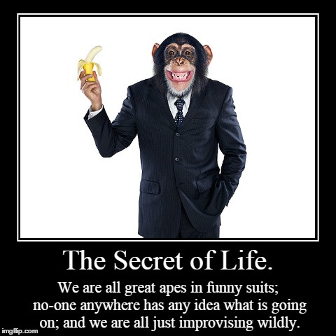 Life | image tagged in funny,demotivationals | made w/ Imgflip demotivational maker