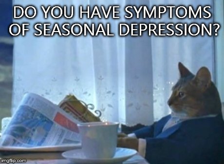 I Should Buy A Boat Cat | DO YOU HAVE SYMPTOMS OF SEASONAL DEPRESSION? | image tagged in memes,i should buy a boat cat | made w/ Imgflip meme maker